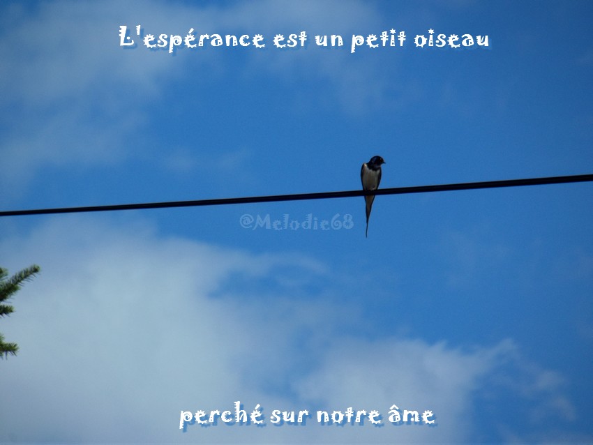 citation espérance 2 – ♪♫ Melodie's Songs ♫♪